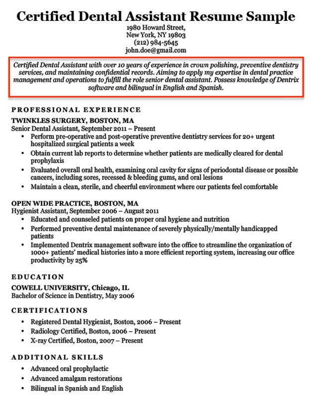 Professional resume writing service for nurses