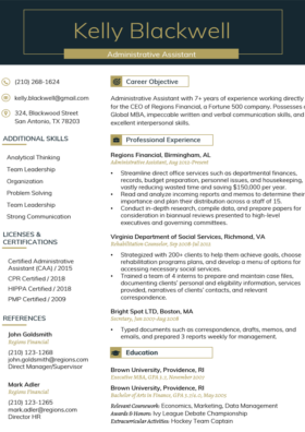 Imperial Gold Professional Resume Template