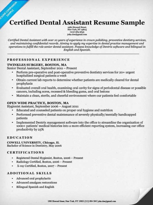 Dental Resume Examples & Writing Tips | Resume Companion