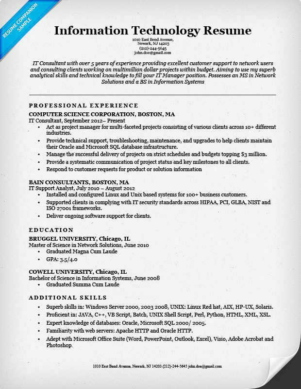 Information Technology Resume Template