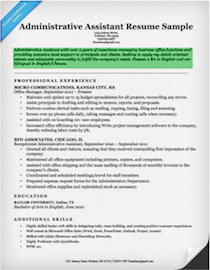 objective for professional resume
