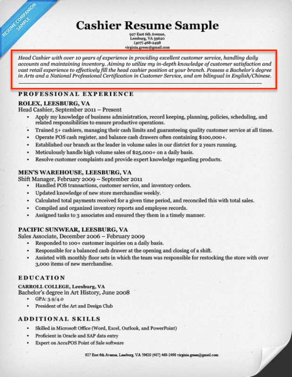 Resume Profile Examples & Writing Guide | Resume Companion