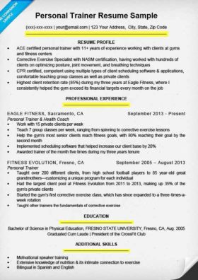 resume lines styling example 2