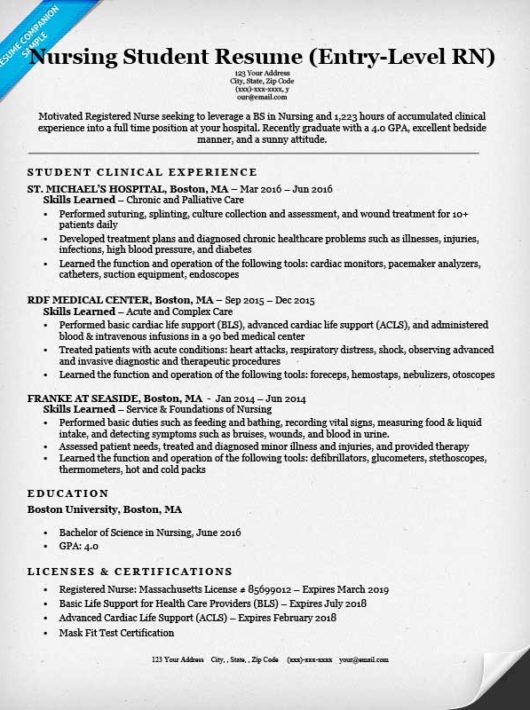 Experienced Nurse Resume Template from resumecompanion.com
