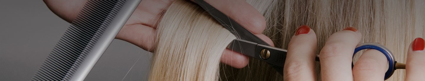 Hairstylist Cover Letter Sample 4 Writing Tips Resume Companion