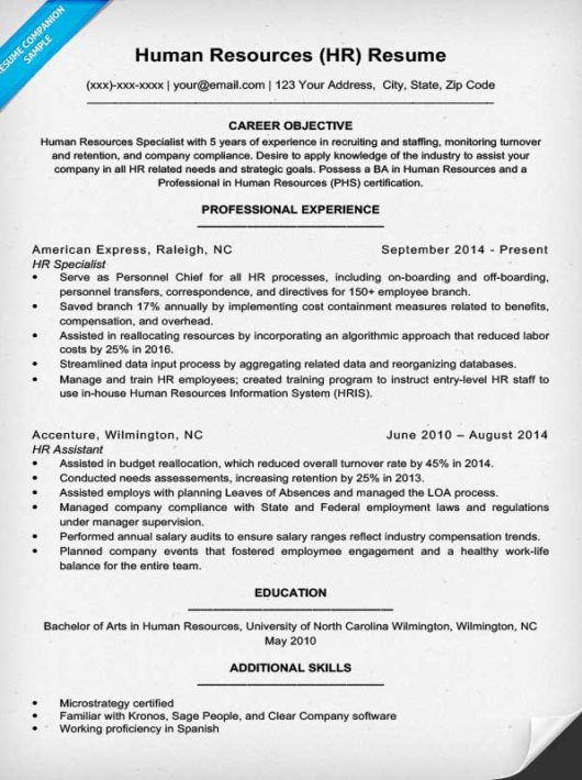 HR Human Resources Resume Sample 530x710