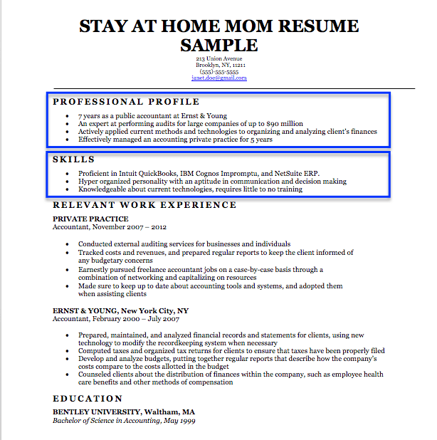 Stay At Home Mom Professional Profile Example