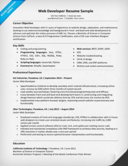 sample graphic designer resumes