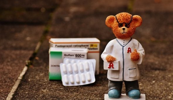 pharmacist bear