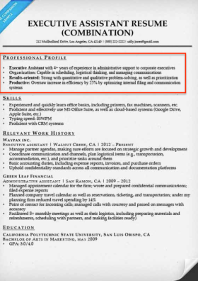 executive assistant professional profile example