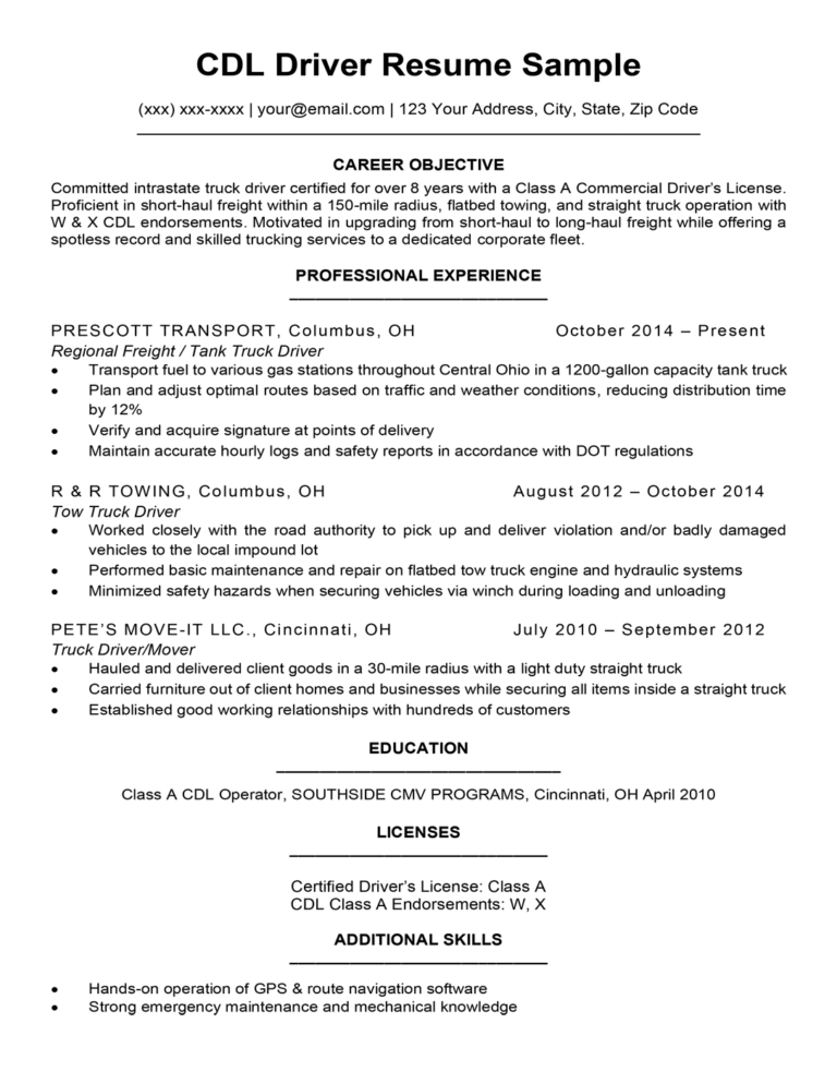 what is a good summary for a truck driver resume
