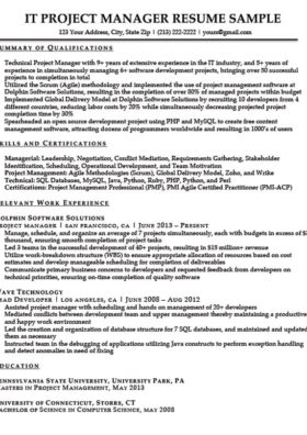 project manager resume sample download