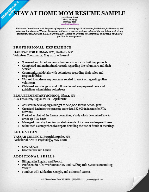 Stay At Home Mom Resume Sample Writing Tips Resume Companion