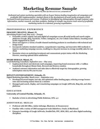 80+ Resume Examples for 2020 [Free Downloads]