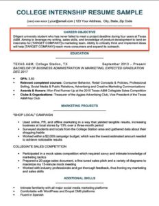 Resume Objective Examples For Students And Professionals